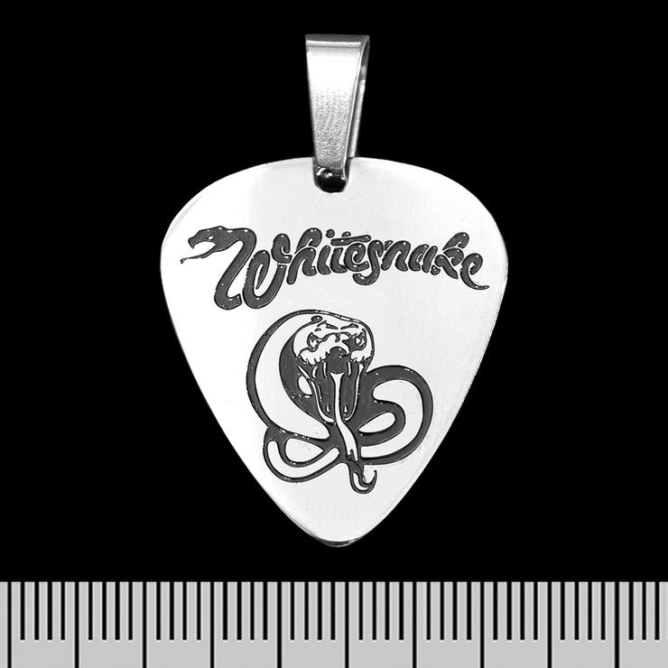 Кулон Whitesnake (ptsb-133) медиатор Кулон Whitesnake (ptsb-133) медиатор