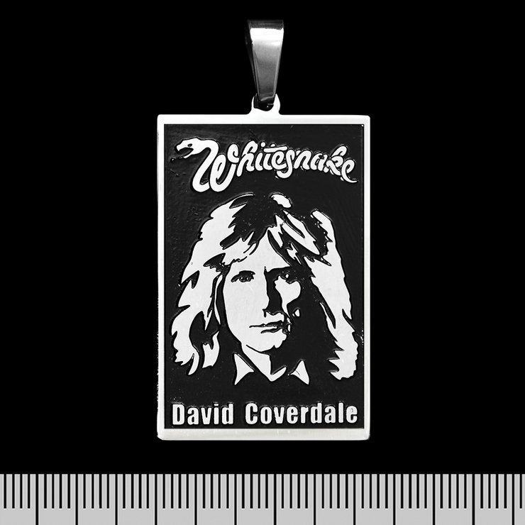 Кулон Whitesnake (David Coverdale) (ptsb-134) прямоугольный Кулон Whitesnake (David Coverdale) (ptsb-134) прямоугольный