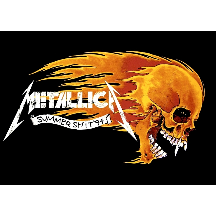 Плакат Metallica (Summer Shit)