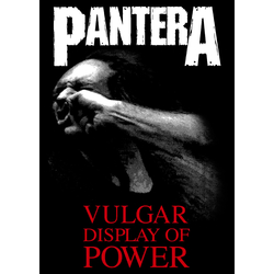Плакат Pantera (Vulgar Display Of Power)