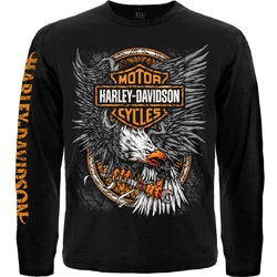 Футболка с длинным рукавом Harley-Davidson (eagle and logo HD)