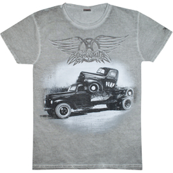 Футболка Aerosmith "Pump" (gray t-shirt) (EU-P)