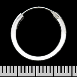 Серьга, кольцо с плоскими боками (eas-145)
