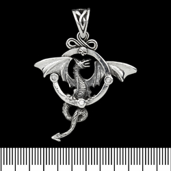 Кулон Крылатый дракон в кольце (серебро, 925 проба) (sp-161)