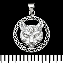 Кулон Голова кота с пентаграммой (серебро, 925 проба) (sp-219) Кулон Голова кота с пентаграммой (серебро, 925 проба) (sp-219)