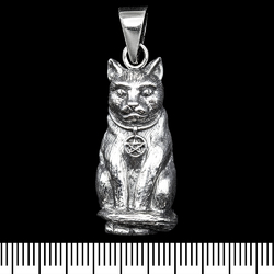 Кулон Кот с пентаграммой (серебро, 925 проба) (sp-223)