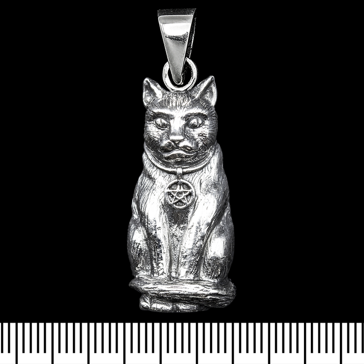 Кулон Кот с пентаграммой (серебро, 925 проба) (sp-223) Кулон Кот с пентаграммой (серебро, 925 проба) (sp-223)