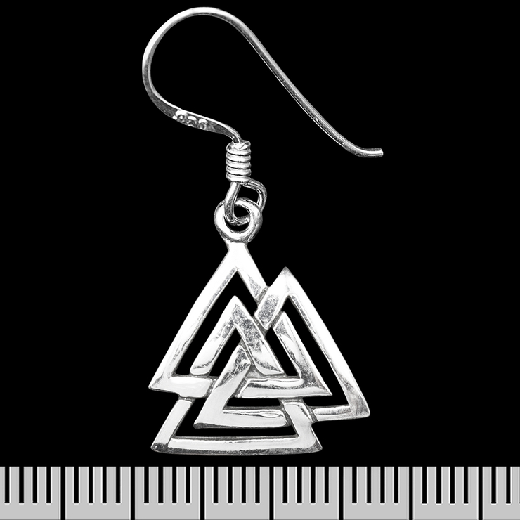 Сережка-гачок Валкнут (срібло, 925 проба) (ehs-044)