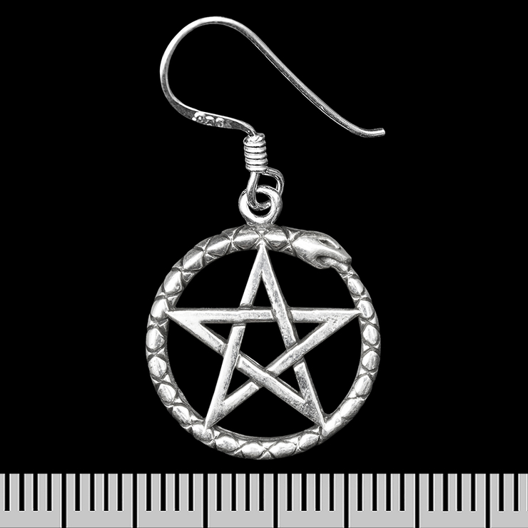 Серьга-крючок Пентаграмма-Уроборос (серебро, 925 проба) (ehs-045)