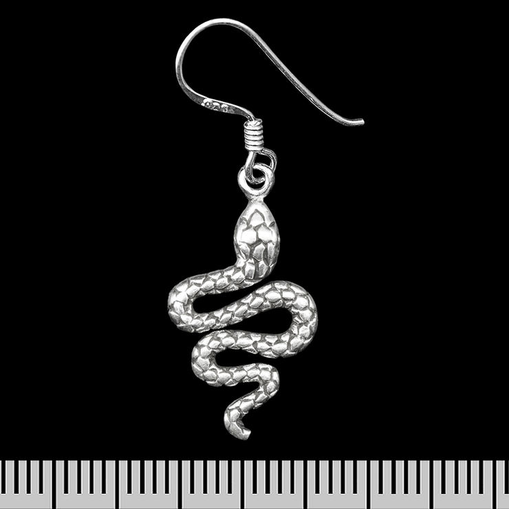 Серьга-крючок Змея (серебро, 925 проба) (ehs-049)