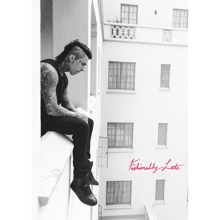 Плакат Falling In Reverse (Fashionably Late)