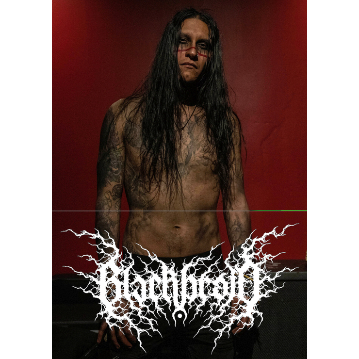 Плакат Blackbraid (Jon Krieger) Плакат Blackbraid (Jon Krieger)