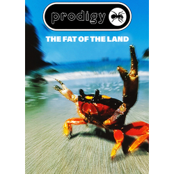 Плакат The Prodigy (The Fat Of The Land) Плакат The Prodigy (The Fat Of The Land)