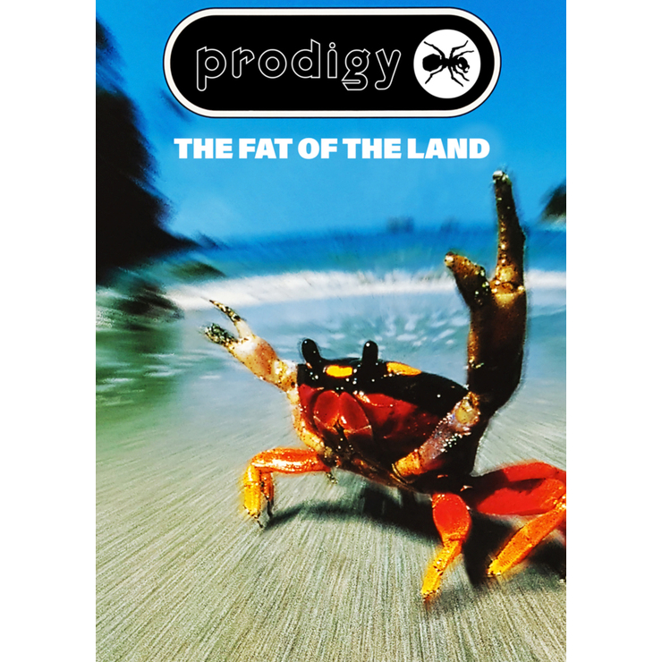 Плакат The Prodigy (The Fat Of The Land) Плакат The Prodigy (The Fat Of The Land)