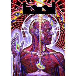 Плакат Tool (Lateralus) Плакат Tool (Lateralus)