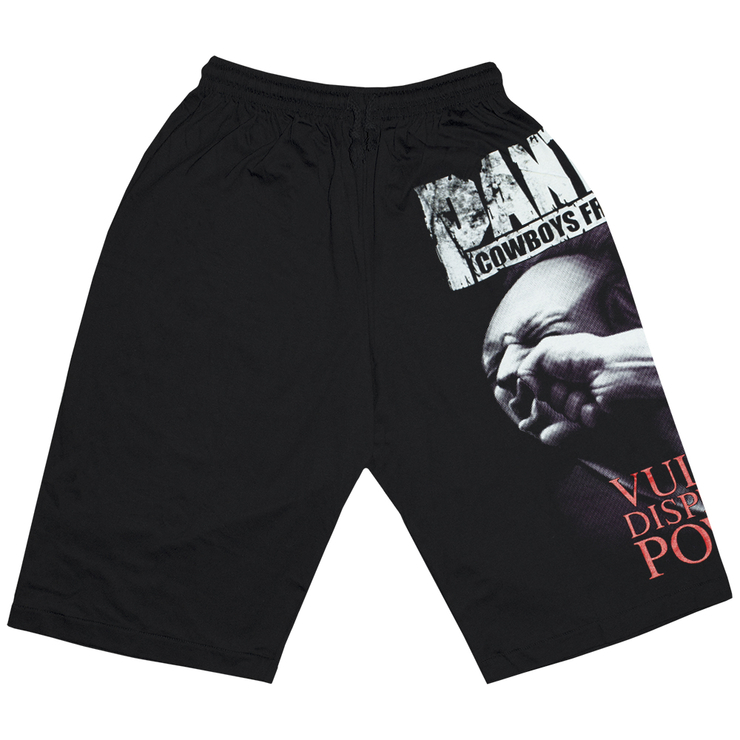 Шорти Pantera " Vulgar Display of Power"