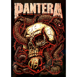 Плакат Pantera (Skull CFH) Плакат Pantera (Skull CFH)