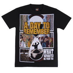 Футболка A Day To Remember "What Separates Me From You" (Hot Rock)