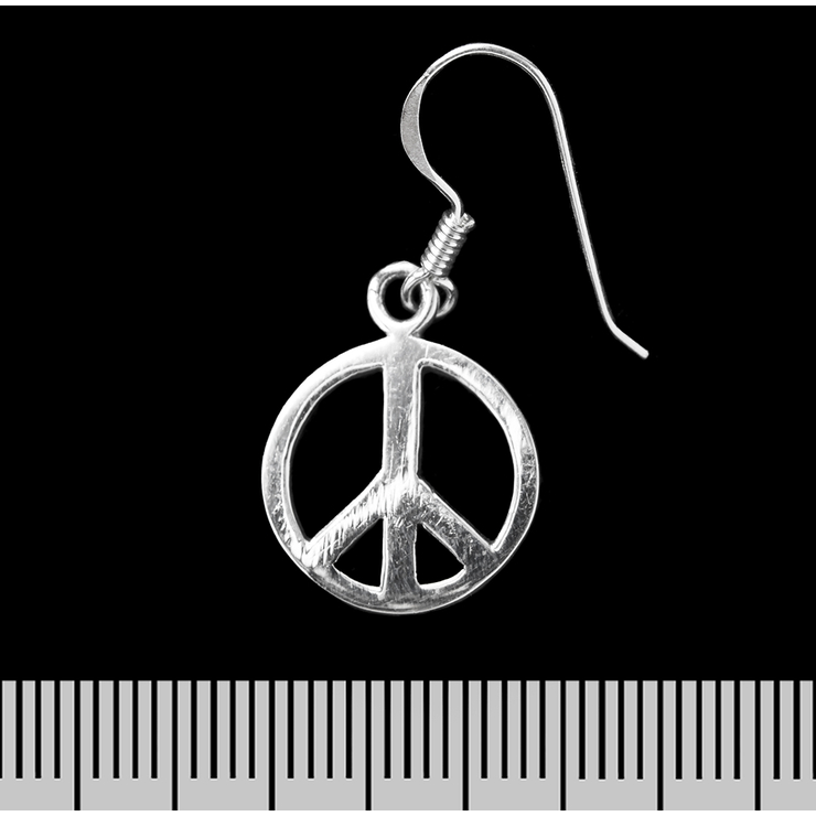 Сережка-гачок Пацифік (срібло, 925 проба)