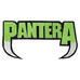 Нашивка термо Pantera (green logo) наспинная (thps-033) Нашивка термо Pantera (green logo) наспинная (thps-033)