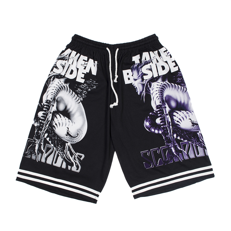 Шорти Scorpions "Taken B-Side" (Red Rock) Шорти Scorpions "Taken B-Side" (Red Rock)