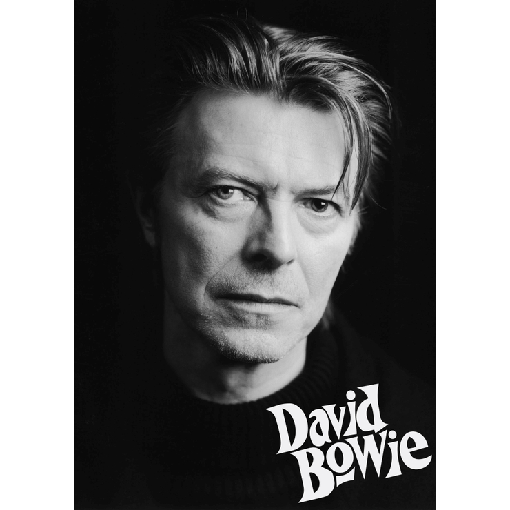 Плакат David Bowie Плакат David Bowie