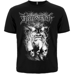 Футболка Immortal "Unholy Forces Of Evil"