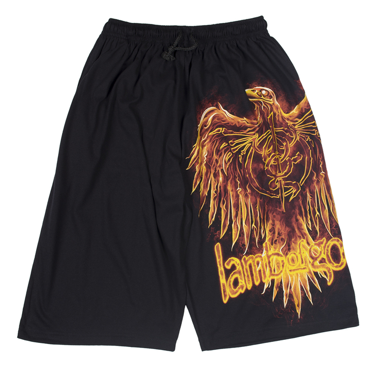 Шорты Lamb of God