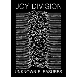 Плакат Joy Division "Unknown Pleasures"