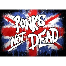 Плакат Punk’s Not Dead (Great Britain)