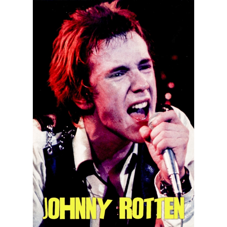 Плакат Sex Pistols (Johnny Rotten) Плакат Sex Pistols (Johnny Rotten)