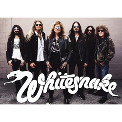 Плакат Whitesnake (band)