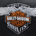 Бейсболка Harley-Davidson (since 1903) RW Бейсболка Harley-Davidson (since 1903) RW