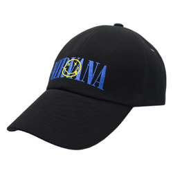 Бейсболка Nirvana (blue logo) RW