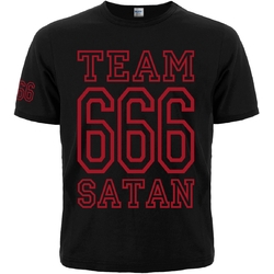 Футболка Team Satan - 666 (red)