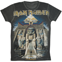 Футболка Full print Iron Maiden "Powerslave" (graphite t-shirt) EU