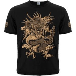 Футболка Dragon Power Футболка Dragon Power