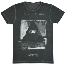 Футболка Alice in Chains "Rainier Fog" (graphite t-shirt) (EU-P)