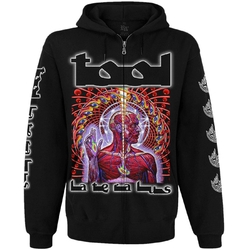 Худи Tool "Lateralus" на молнии
