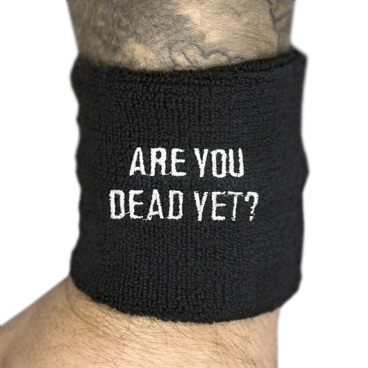 Напульсник махровый CHILDREN OF BODOM - ARE YOU DEAD YET (wol-052)