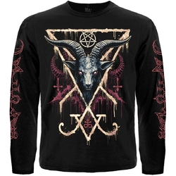 Футболка з довгим рукавом Occultism