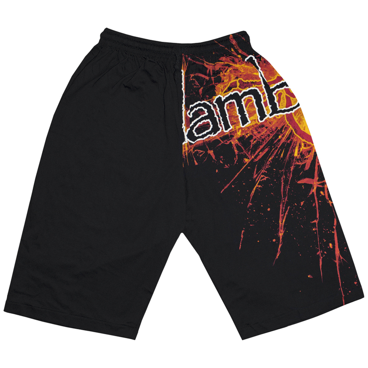 Шорты All print - Lamb Of God (explosive logo)