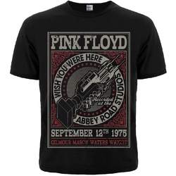 Футболка Pink Floyd "Wish You Were Here"