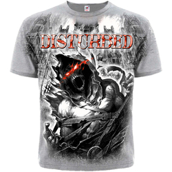 Футболка Disturbed "Asylum" (melange t-shirt)