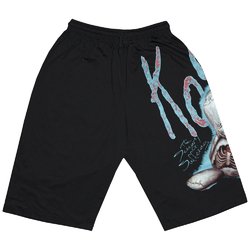 Шорти Korn "The Serenity of Suffering"