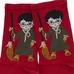 Шкарпетки Harry Potter (бордові) р.36-44 (tr)