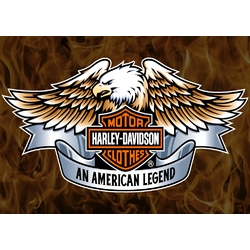 Плакат Harley-Davidson (Eagle)