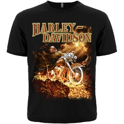 Футболка Harley-Davidson - лава Футболка Harley-Davidson - лава