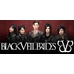 Чашка Black Veil Brides Чашка Black Veil Brides