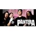 Чашка Pantera Чашка Pantera